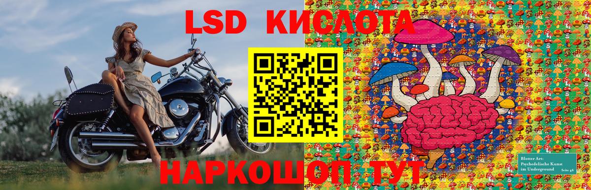 хочу   Марки N-bome 1500мкг  Марки NBOMe  Вход с VPN  Марки N-bome 1500мкг  Прокопьевск 